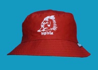 Picture of Echidna hat